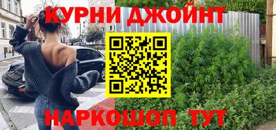 индика Ирбит