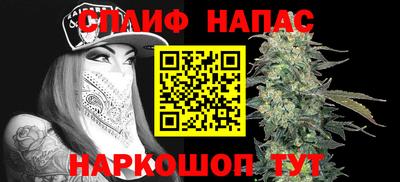 индика Ирбит