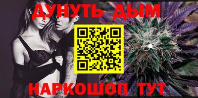 индика Ирбит
