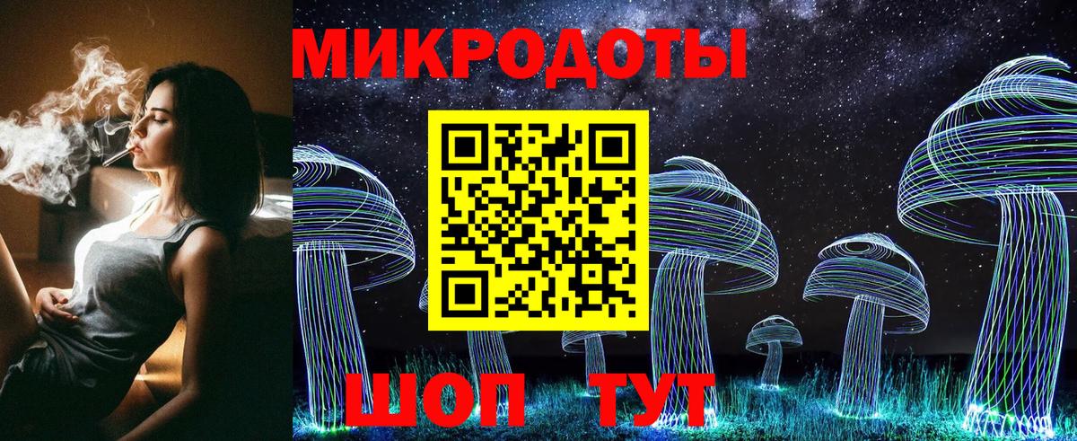 Галлюциногенные грибы Psilocybe Слободской