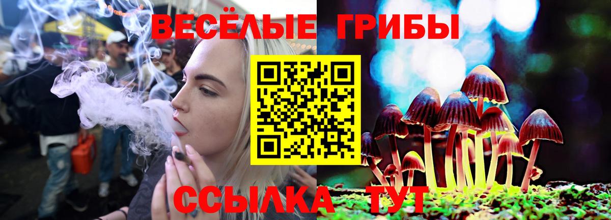 Галлюциногенные грибы мухоморы  Вход с VPN  Слободской 
